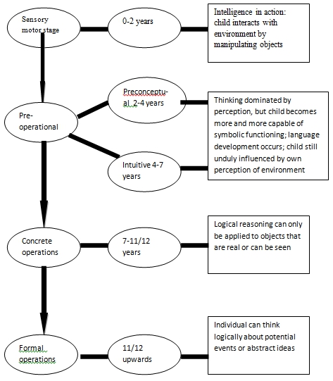 Piaget's four stages of cognitive development