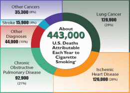 A chart showing the number of deaths associated with smoking.