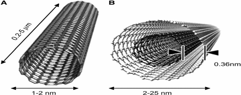 Single-walled carbon nanotube