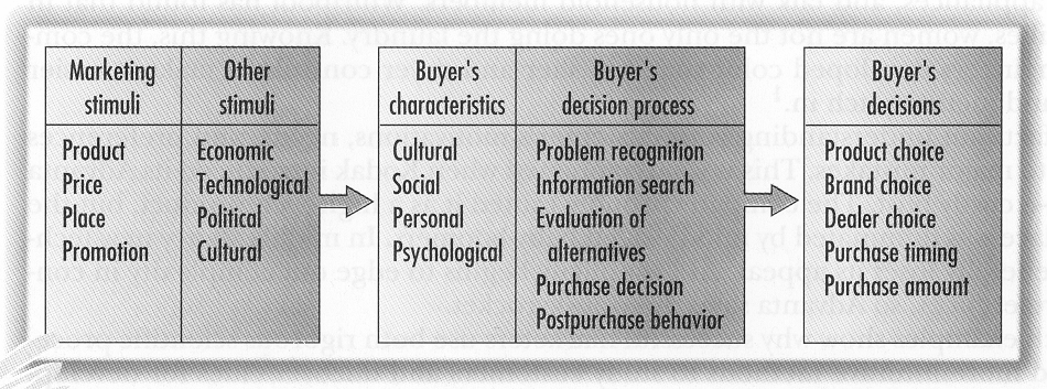 Model of the customer behaviour