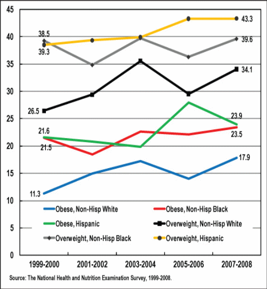 Trends in the Prevalence of Obesity and Overweight among US Boys and Girls aged 6-17 Years on Ethnicity Basis. Source: The US Department of Health and Human Services (HRSA) (2010)