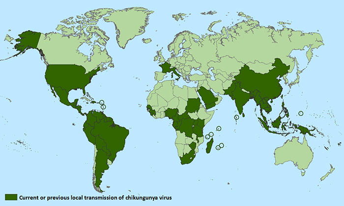 Regions where people have been diagnosed with Chikungunya virus.