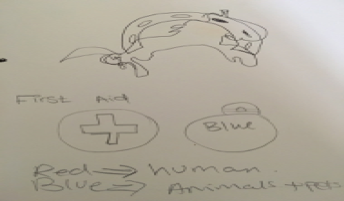 The use of color blue in animal first aid.