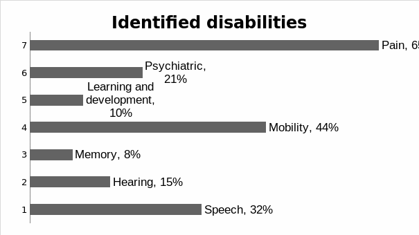 The summary of the identified disabilities.