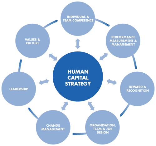 Human Capital Strategy (Dimov 2010)