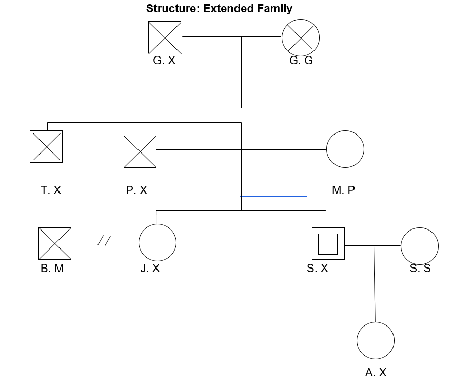 Structure: Extended Family
