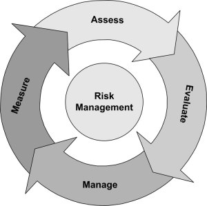 Risk Management By Financial Institutions