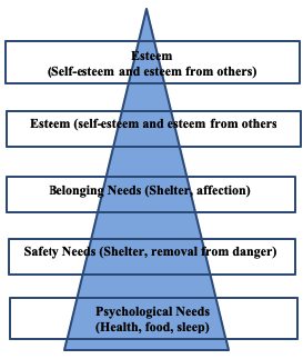 Maslow's Hierarchy of Needs. Source: (Bruner 2009)