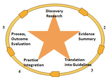 ACE Star Model evidence-based practice process.