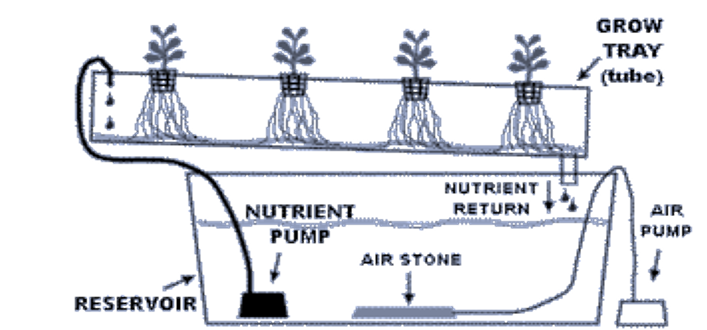 Illustration of a flow-style hydroponic system (Simply Hydro, 2008).