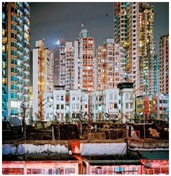 The Hong Kong Tenements