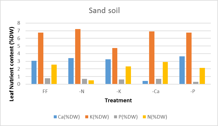 Sand soil.