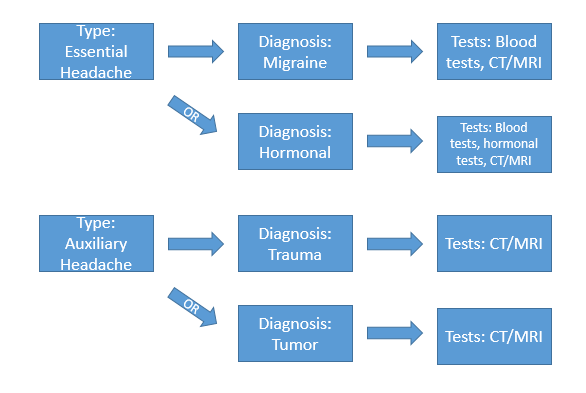 Differential diagnosis flow sheet.