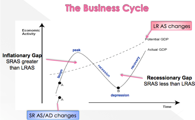The Business cycle