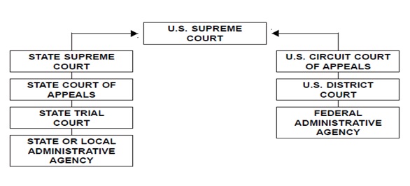 Proposed judicial structure for the ‘new’ state of Puerto Rico