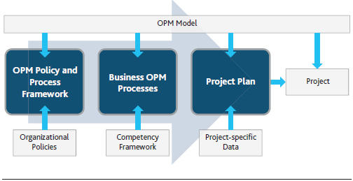 Interaction Between OPM and the Project Environment.