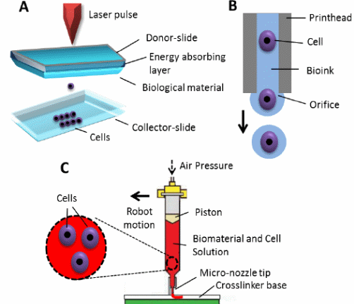 Different techniques of bioprinting based on working principle.