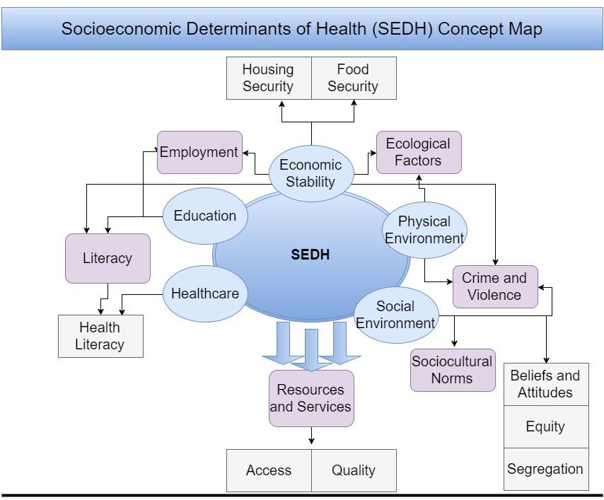 social determinants of health essay examples