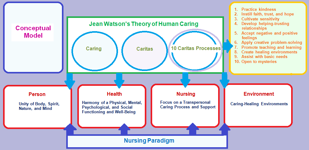 Conceptual model.