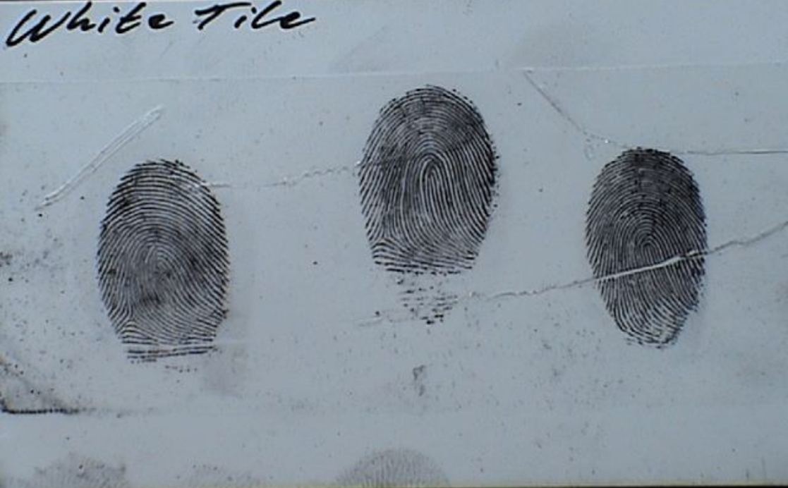 Black powder fingerprints.