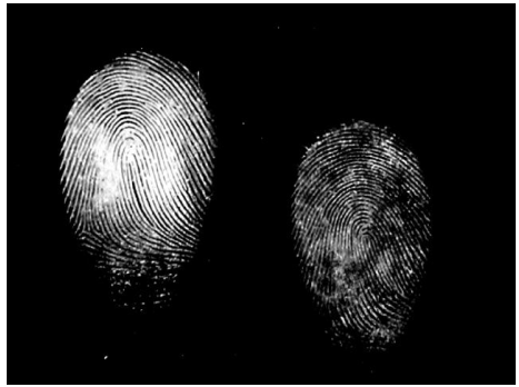Magnetic powder fingerprints.