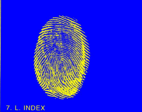 Index finger inked fingerprint.