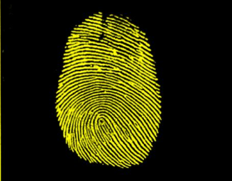 Thumb finger inked fingerprint.