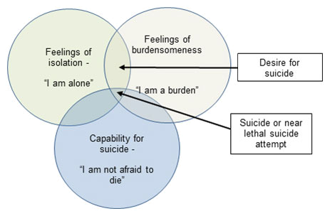 Interpersonal Theory of Suicide.