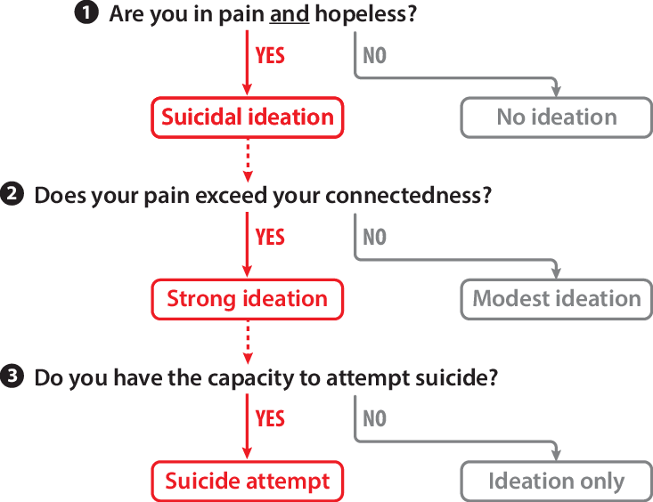 Ideation-to-Action Theory