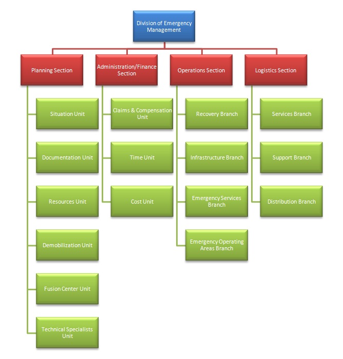 The structure of the Division of Emergency Management.
