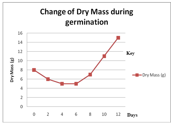 Change of Dry Mass during germination