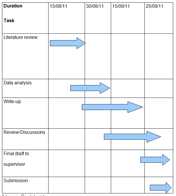 Ethical issues and limitationsProject's Gantt chart.