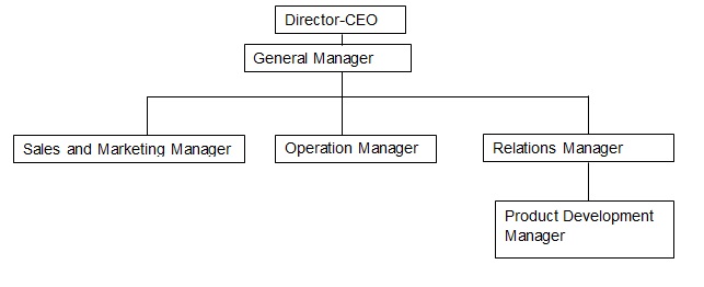 Management Structure.
