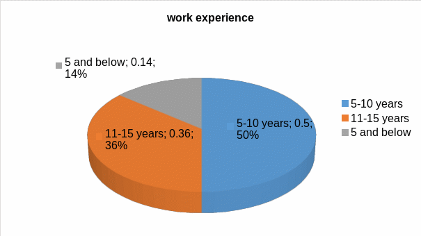 Distribution of interviewees depending on work experience.