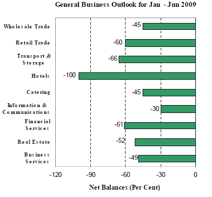 General business outlook for Jan-Jun 2009