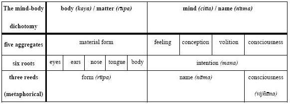 The mind-body dichotomy in Buddhism