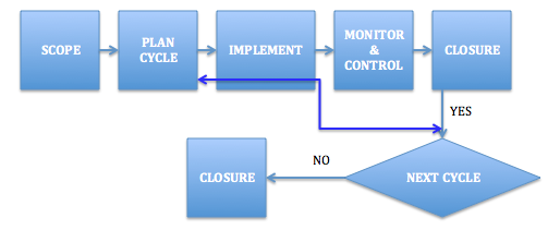 Adaptive Project Life cycle model