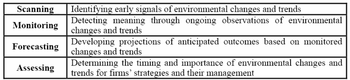 Strategic steps of external environment analysis.