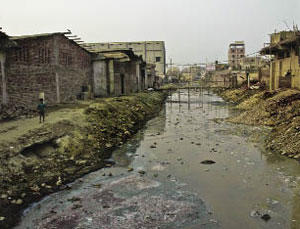 Tannery waste pollution effects on the water bodies.