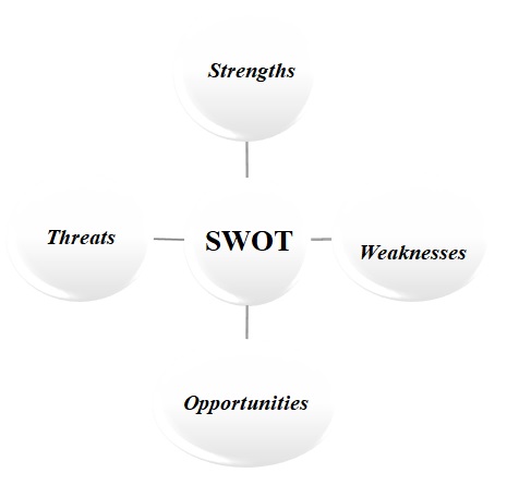 SWOT analysis of Quick Info. 