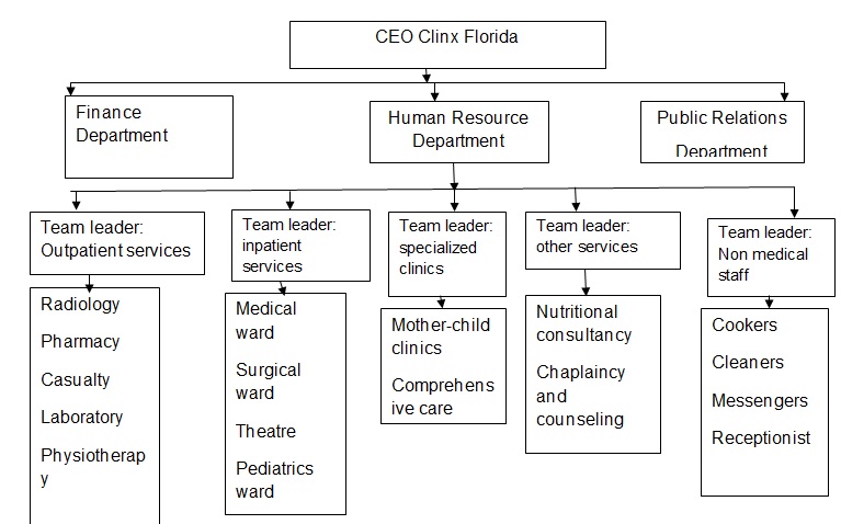 Organizational Structure for My Clinic