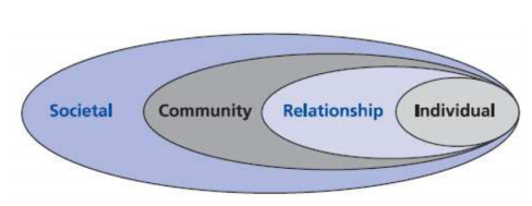 Ecological model for sexual and reproductive health.