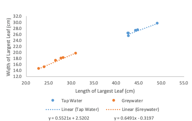 The relationship between the length of the largest leaf and the width of the largest leaf of the different water treatments.
