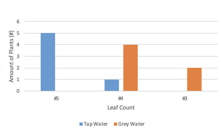 The relationship between the number of leaves counted on each plant of the different water treatments.