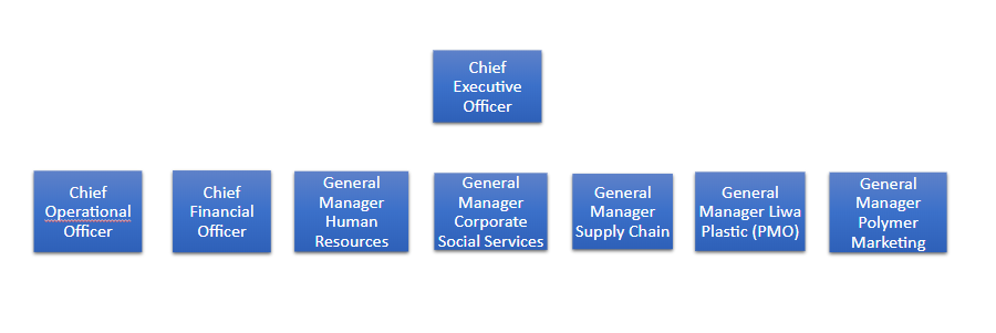 Organisation chart: chief executive officer and subordinates.