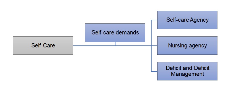 Self-Care Theory