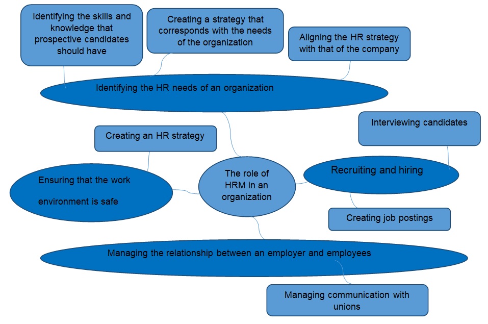 The roles of human resource management representatives in an organization.