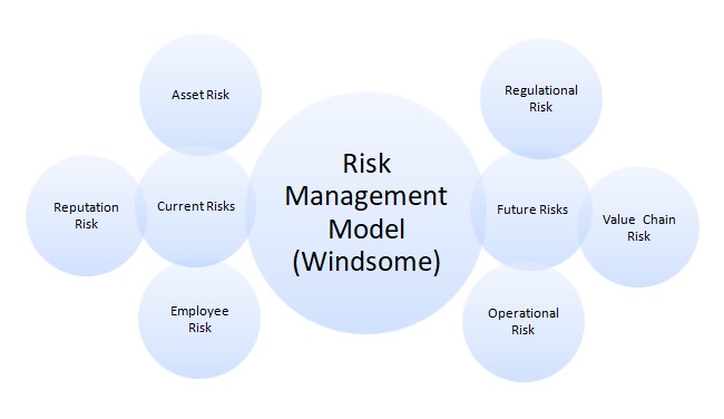 Risk architecture.