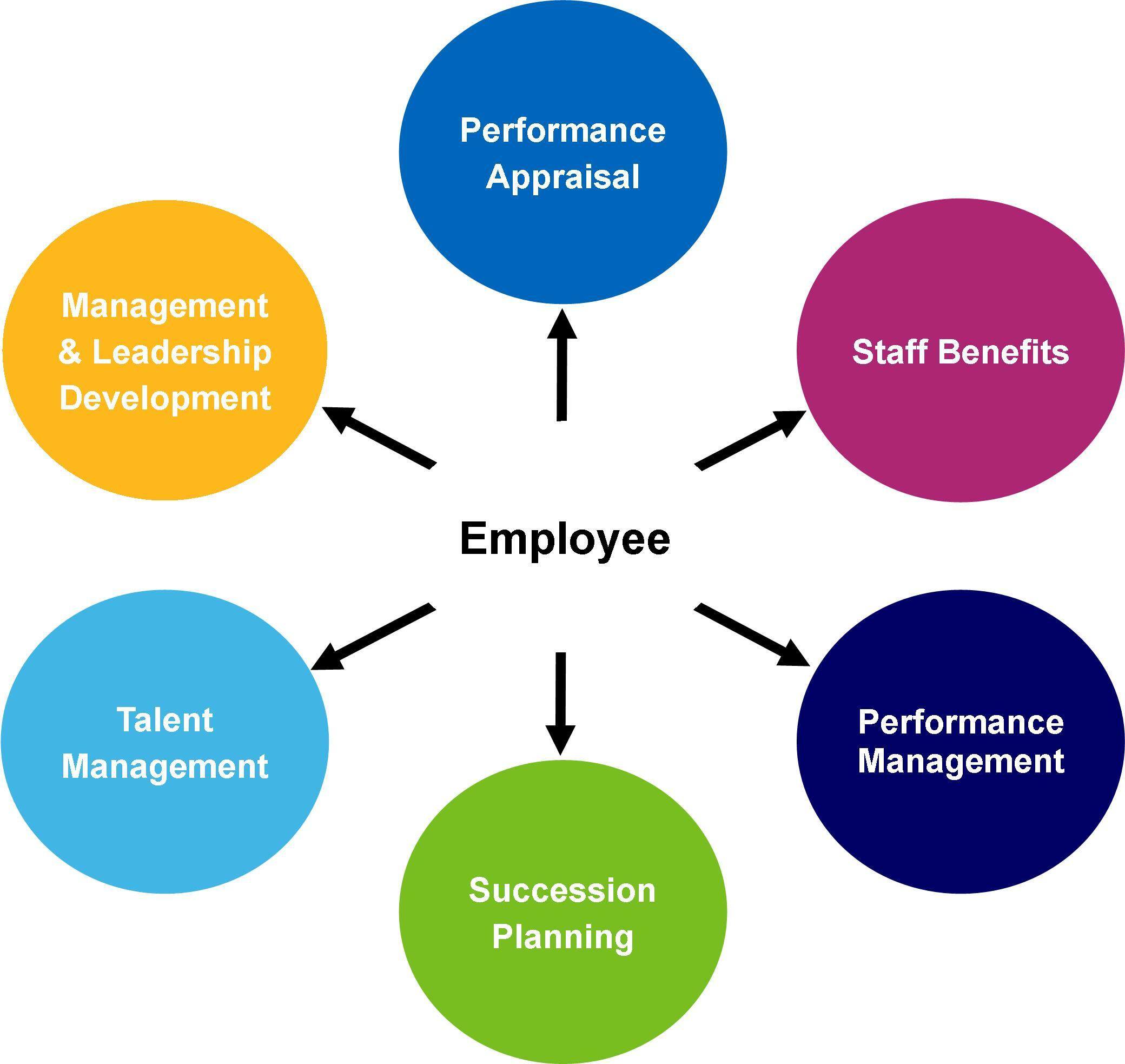 A performance management framework.