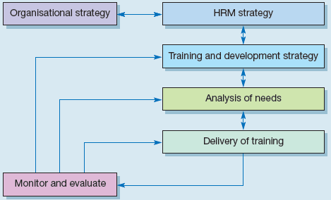 A training cycle based on an HRD plan.